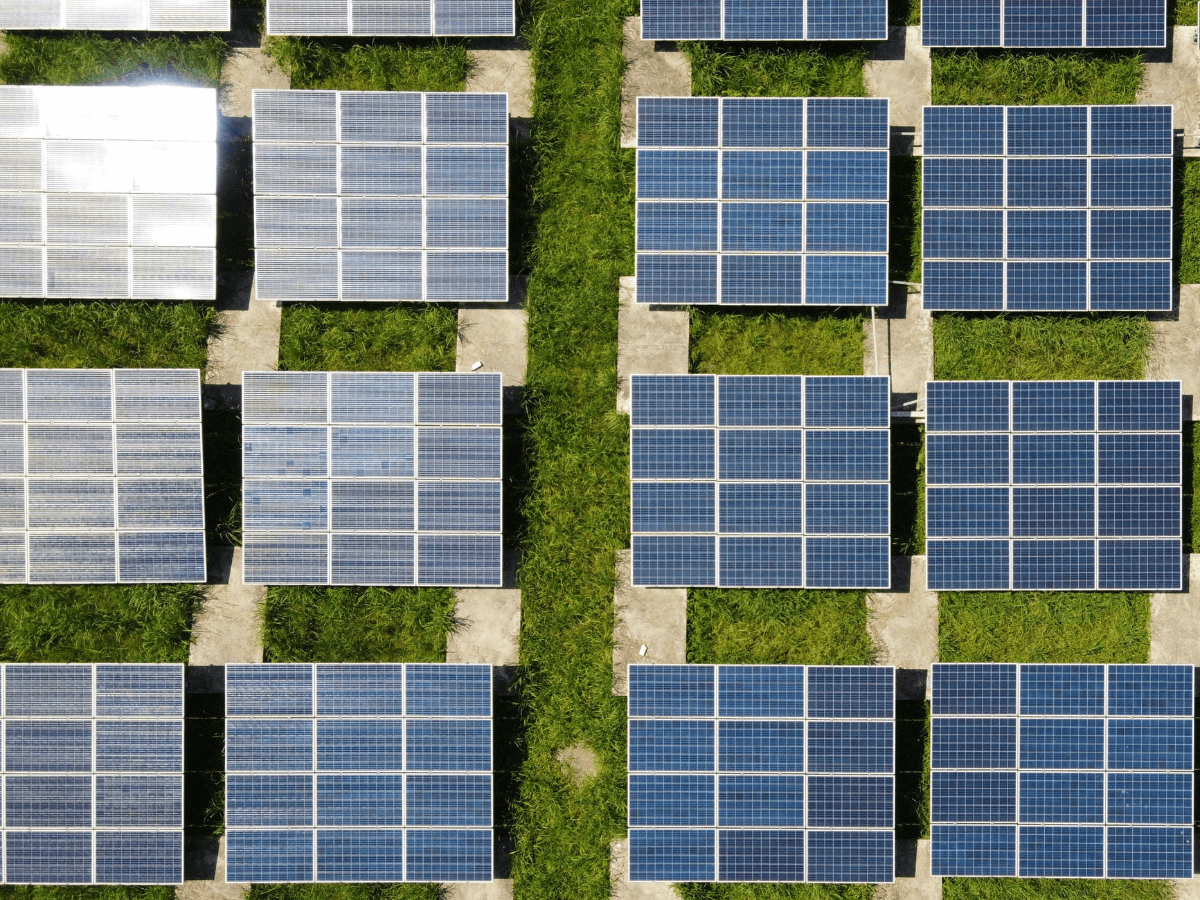 Image of solar panels